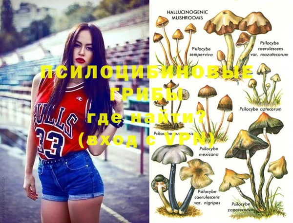 каннабис Алзамай