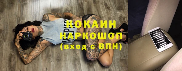 молекула духа Алексин
