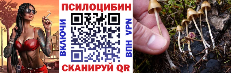 Галлюциногенные грибы прущие грибы Арсеньев